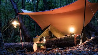 【ソロキャンプ】雨で濡れた大木に囲まれて栗を剝く/直火可能なサイトで焚き火料理を楽しむ