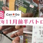 【100均キャンプ道具】久々の100均パトロール！「とんぼブローチ」と「110円で買えるキャンプ本」発見！