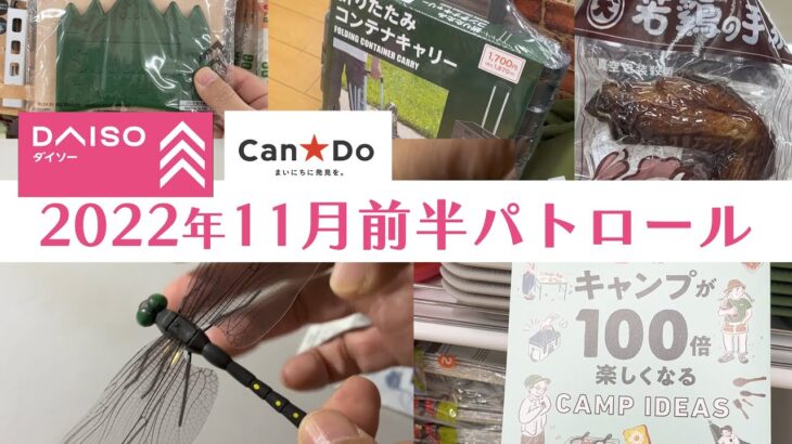 【100均キャンプ道具】久々の100均パトロール！「とんぼブローチ」と「110円で買えるキャンプ本」発見！