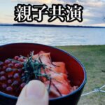 【キャンプ道具】Seriaの丼で食べるサーモンとイクラの親子丼　Salmon and salmon roe oyakodon eaten in a Seria bowl 【キャンプ飯】