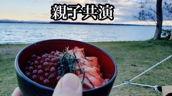 【キャンプ道具】Seriaの丼で食べるサーモンとイクラの親子丼　Salmon and salmon roe oyakodon eaten in a Seria bowl 【キャンプ飯】