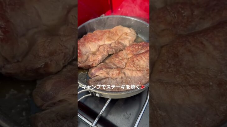 キャンプでステーキを焼く🥩　#shorts