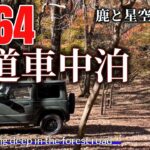 【ソロキャンプ】ジムニー 林道 車中泊  Solo car Camping in the deep forest road  鹿と星空と焚火   野外居酒屋　第9回