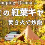 【ソロキャンプ】焚き火料理と初心者必見の紅葉キャンプSoloCamping