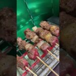 キャンプ初心者！強風に負けて串焼きを家の中でする！ #shorts