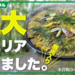 【キャンプ料理】巨大パエリア編