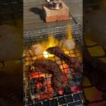 上手く行く？キャンプ初心者のバーベキュー！Japanese BBQ #shorts