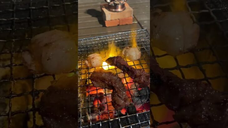 上手く行く？キャンプ初心者のバーベキュー！Japanese BBQ #shorts