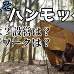 【冬のハンモック泊】ソロキャンプ初心者でも簡単！張り方とロープワーク/ 必要装備紹介！リッジライン&タープ設営