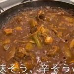 辛さ20倍カレーのアレンジ料理、恵比寿キャンプで糠漬け生活、ミスタークッキング