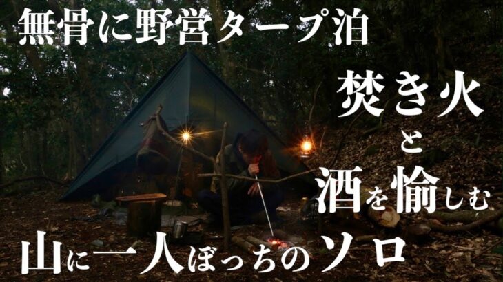 【ソロキャンプ】DDタープで野営タープ泊【直火で焚き火】