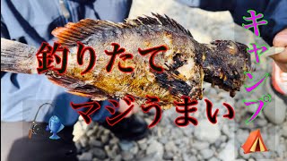 釣った魚でキャンプ飯したら最高にウマすぎた！