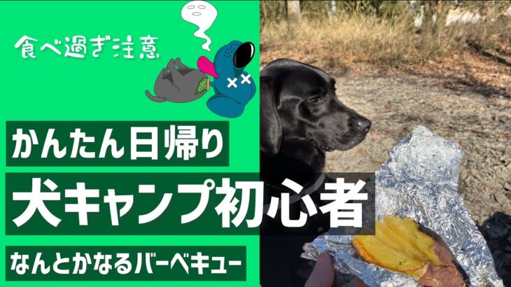 かんたん日帰り、犬キャンプ初心者