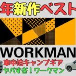 【2023年新作】ワークマン車中泊グッズ・キャンプ道具！ベスト５【本気の厳選】