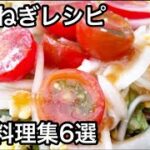 新玉ねぎレシピ 簡単料理集6選 2023まとめ