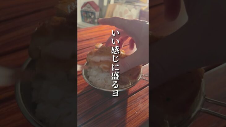 雨がムカつくのでおうちキャンプで炙り鶏丼をぶちぎめる #shorts