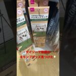 ダイソーで話題のキャンプグッズを発見！！