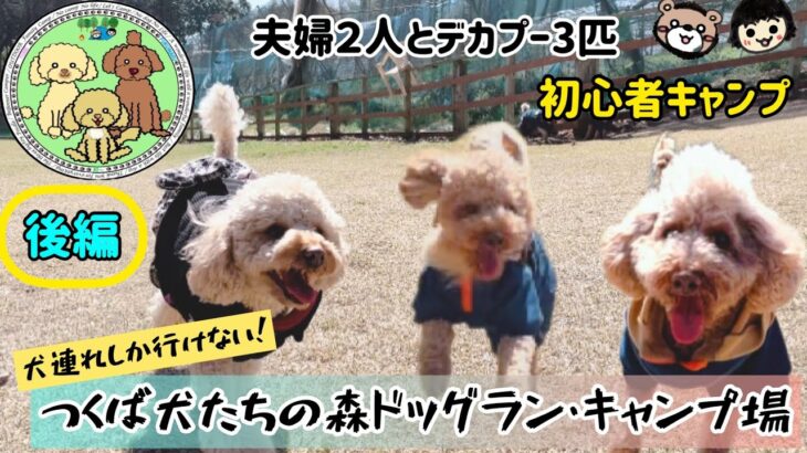 【つくば犬たちの森ドッグラン・キャンプ場】へキャンプに行った日の最後の第3話目（後編）になります！ドッグフリーサイト、巨大ドッグラン！最高でした😆また必ず行きます♪