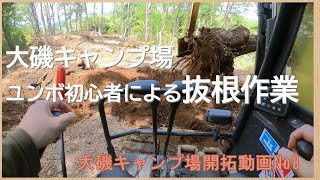 大磯キャンプ場作業 第8段　ユンボ初心者による抜根作業