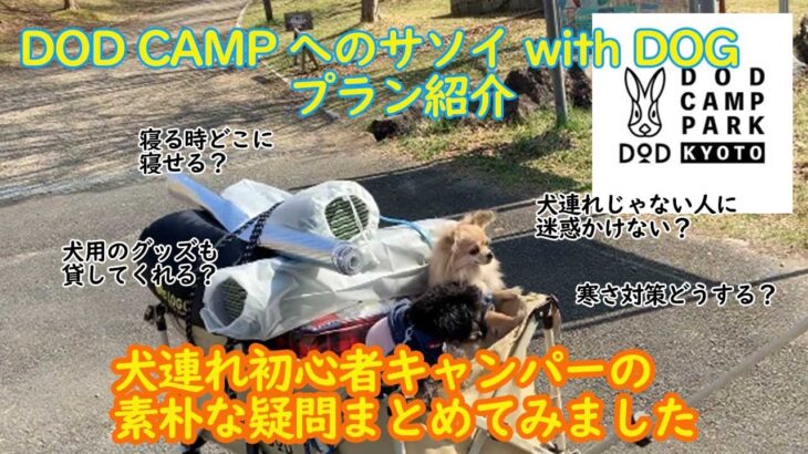 【DOD CAMP PARK KYOTO withDOG プラン】犬連れ初心者キャンパーの疑問まとめてみたやで！【初キャンプ】チワワ＆チワプーキャンプ