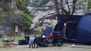 黒いテントで犬連れソロキャンプ OneTigrisの新型テントCOMETA