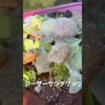 キャンプ料理家のキャンプ飯。リッツdeキャンプ飯