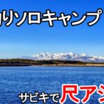 初春の海釣りソロキャンプ！アジを求めて投げサビキでねばった結果