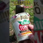 【ソロキャンプ】初心者のキャンプ飯🍜野で湯を沸かし、カップヌードル食べるだけ