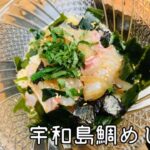 【キャンプ飯】さらさら何杯でも食べれちゃう！宇和島鯛めし！