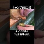 キャンプで美味いウイスキーを飲みたくて・・・自宅で樽熟成したミニ樽持ち込んでみた。