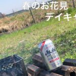 【ソロキャンプ】初心者の春のお花見デイキャンプ⛺️キャンプ飯は手軽に「冷凍味噌ラーメンヤサイマシ」🍜