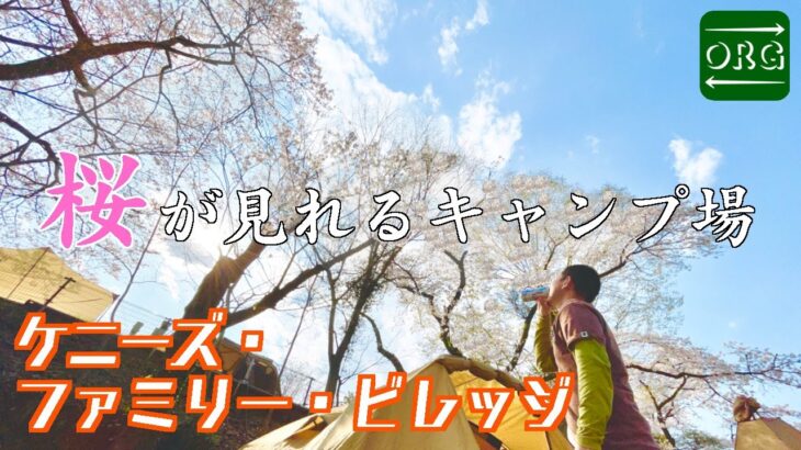 【花見キャンプ】ケニーズファミリービレッジで桜満開キャンプ【キャンプ場紹介】