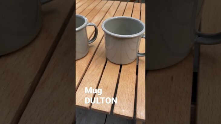 #キャンプギア #キャンプ初心者 #キャンプ道具 #DULTON #mug マグカップ