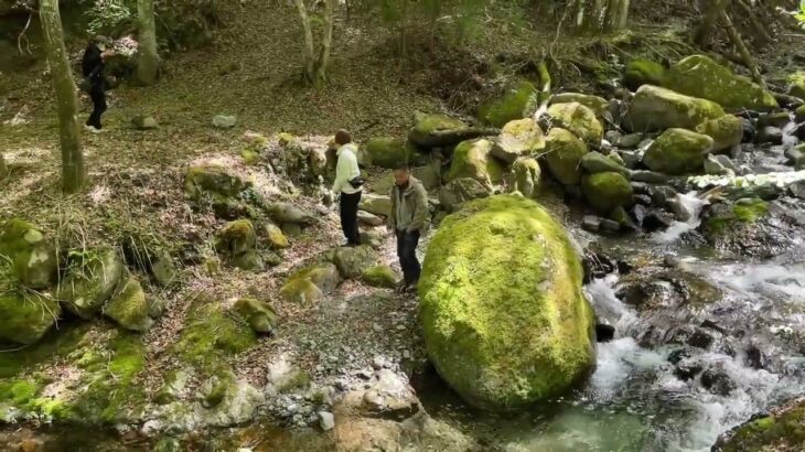 ジムニーとキャンプ　道志の森キャンプ場🏕️