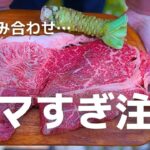 【飯ウマの襲撃】美味しいキャンプ料理と絶景キャンプのハシゴ旅