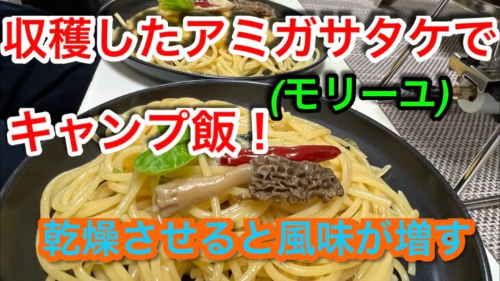 【キャンプ飯編】収穫したアミガサタケでキャンプ飯！乾燥させると風味が増します