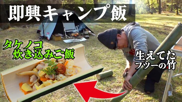 【自由すぎ】即興キャンプ【タケノコ篇 #4/4】#阿諏訪 #キャンプ #キャンプ飯 #タケノコ #収穫  #長野 #焚き火 #料理 #飯テロ #グルメ