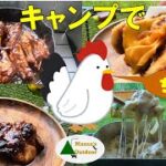 【キャンプでチキンを食いつくす】凄肉フィレバーガーHSM一発再現 からのバッファローウイングと照り焼き 最後はとろーりグラタン朝食だ ソロキャンプ飯 Solo camp Camp food