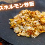 【初心者キャンプ】ソロキャンで「スパイスホルモン炒飯」作ったら絶品だった #MYスパ