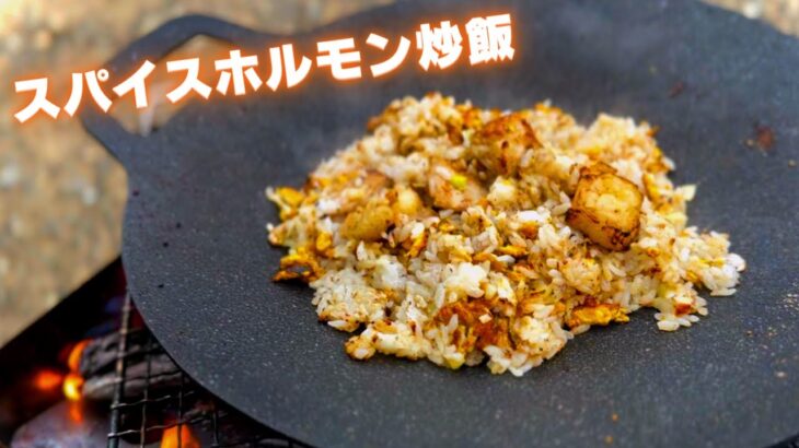 【初心者キャンプ】ソロキャンで「スパイスホルモン炒飯」作ったら絶品だった #MYスパ