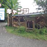 【ソロキャンプ】初めての雨キャンプと焚き火料理🍳｜TINY CAMP VILLAGE