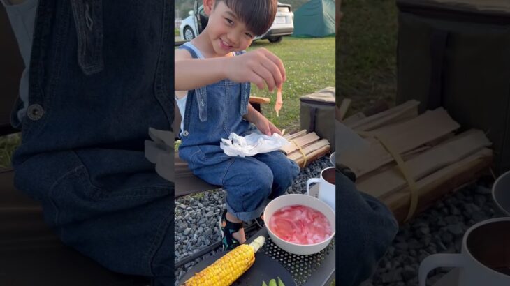 驚きのキャンプ料理！自然の中で手軽に海鮮丼を作ってみた#shorts #camping #seafoodbowl