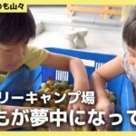 ファミリーキャンプ場の日常！子どもが夢中になってる〇〇！？【くつろぎたいのも山々】