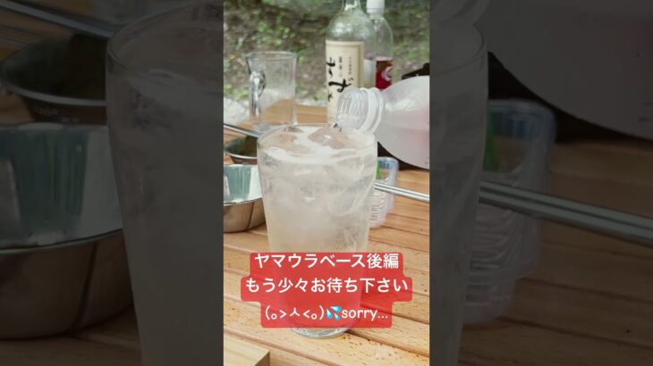 【キャンプ初心者】野での酒遊び開始っっ！♪♪#キャンプ #ソロキャンプ