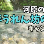 【そろくまキャンプ#16】河原の癒し「ほうれん坊の森 キャンプ場」