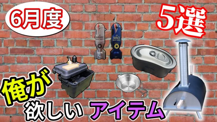 新しく入荷したキャンプ道具の中から欲しいアイテムを選んでみた