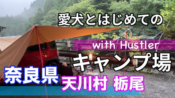 キャンプ初心者が愛犬と初めてのキャンプ！