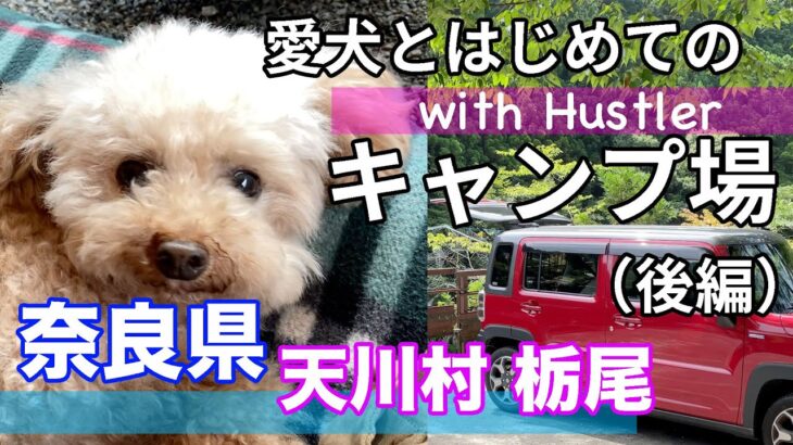 キャンプ初心者が愛犬と初めてのキャンプ！（後編）