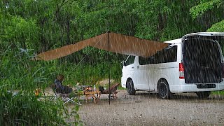 雨とひぐらし 涼しい山奥で犬連れ夫婦キャンプ