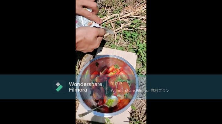 畑から採ったトマトとバジルのサラダ キャンプ料理